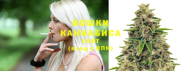 прущие грибы Тихорецк