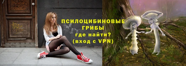 соль ск Волосово