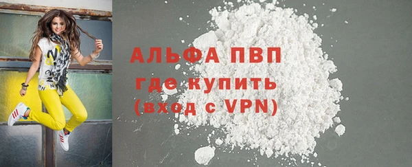 тгк Володарск